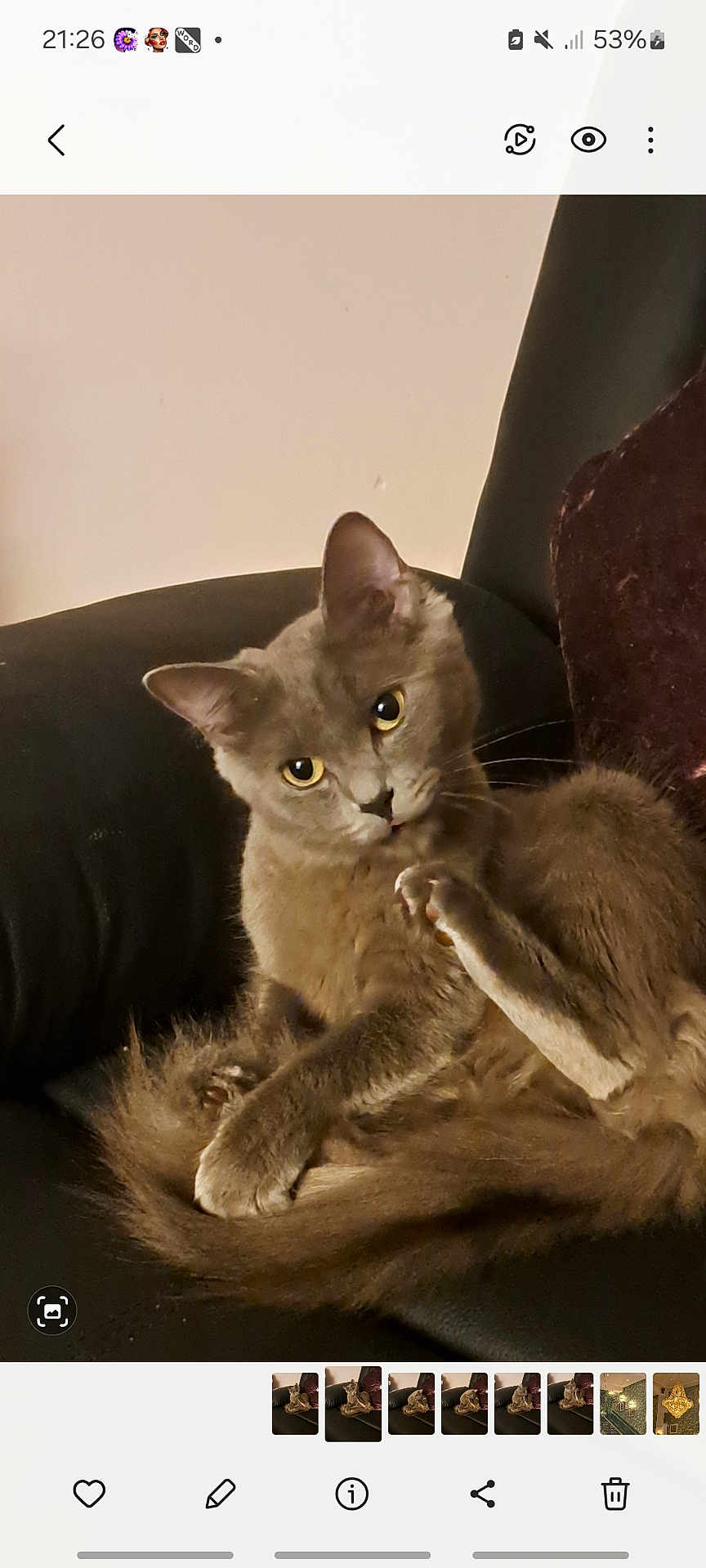 Luna