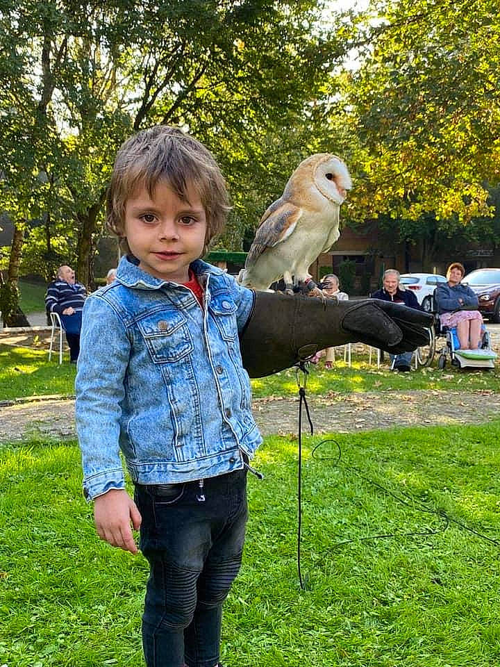 Matteo a rejoint le concours — aidez-le/la à gagner de superbes lots ! beak, bird, blurred, child, companion_dog, denim, falcon, falconiformes, fawn, garden, grass, grassland, happy, leisure, parrot, people_in_nature, person, plant, recreation, toddler