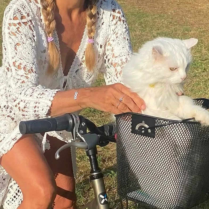 Elsie a rejoint le concours — aidez-le/la à gagner de superbes lots ! animal, basket, bicycle, braids, casual_clothing, cat, daytime, grass, greenery, hat, leisure, nature, outdoor, pet, recreation, smiling, summer, sunlight, white_cat, woman