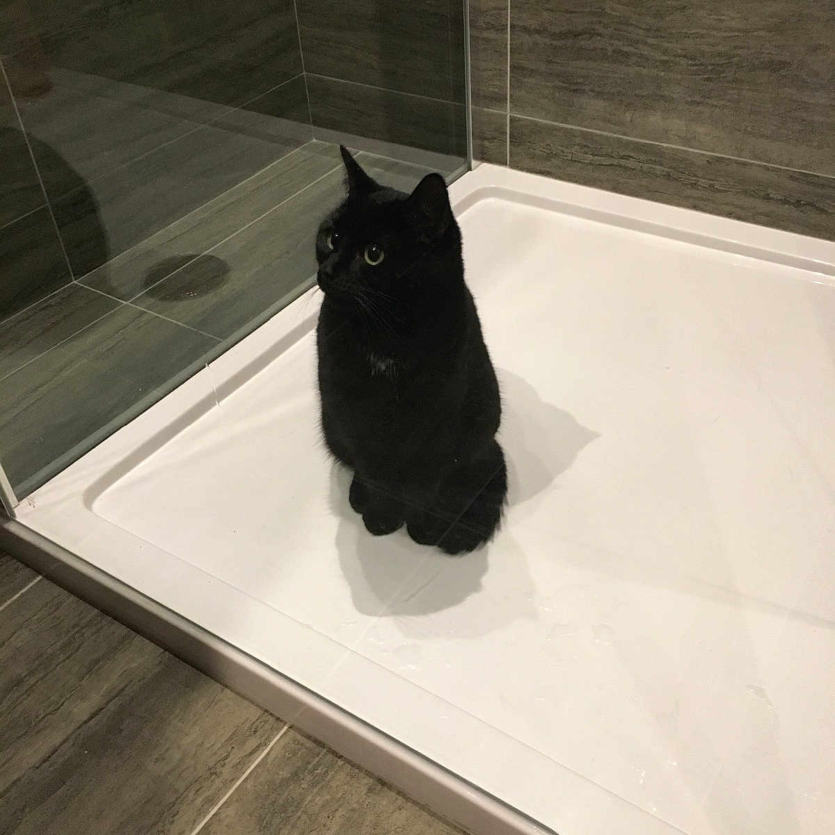 Joanne Bee is registered to the contest to win money with this photo: