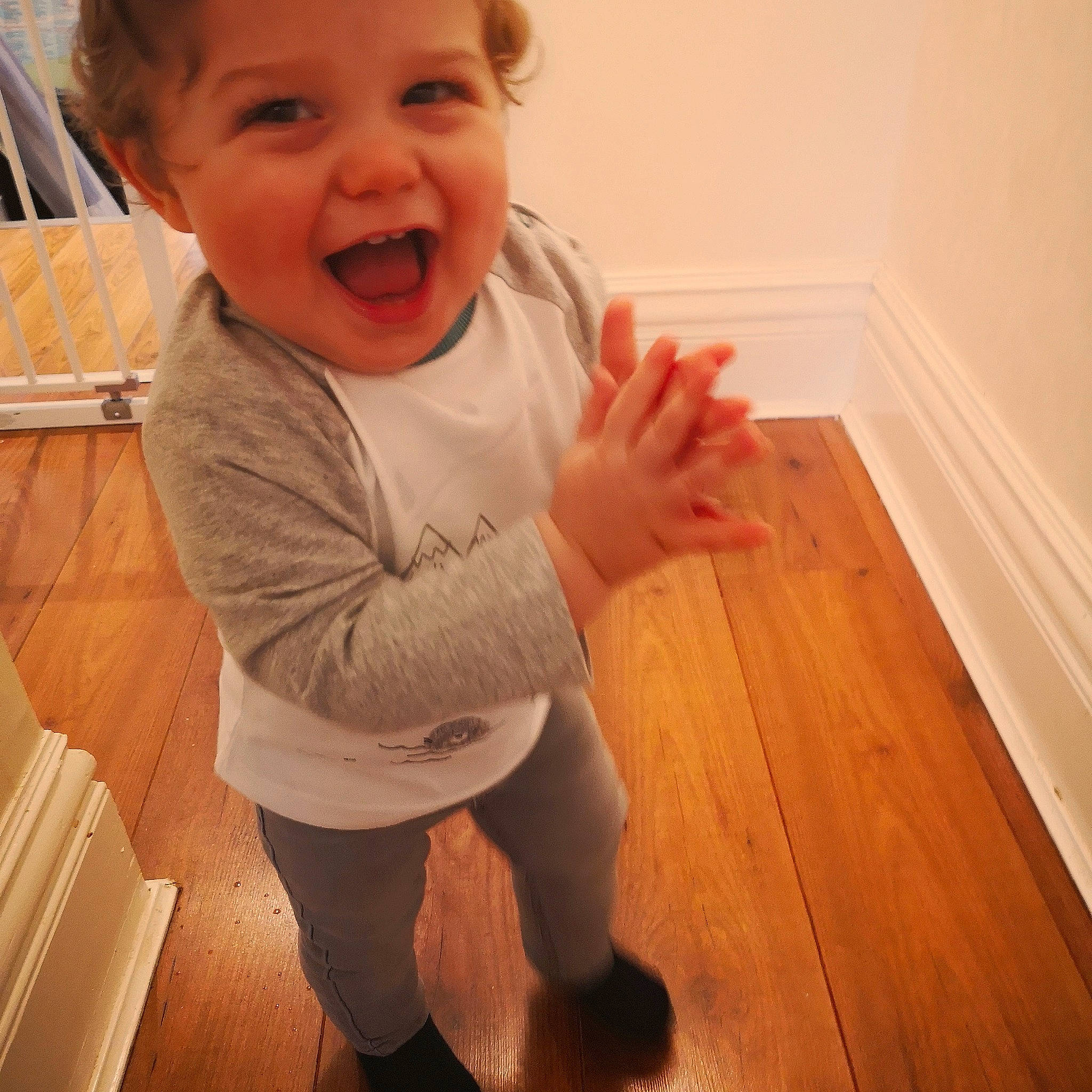 Finlay is registered to the contest to win money with this photo: baby_toddler_clothing, cheek, eye, eyebrow, face, hair, happy, head, iris, leg, lip, mouth, neck, nose, person, shoulder, skin, sleeve, smile, standing