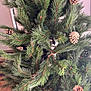 cat, tuxedo_cat, pine_tree, artificial_tree, pine_cones, greenery, indoor, pet, hiding, curious, needle_branches, decorations, feline, playful, holiday_decor, close_up, animal, nature_indoor, camouflage, eye