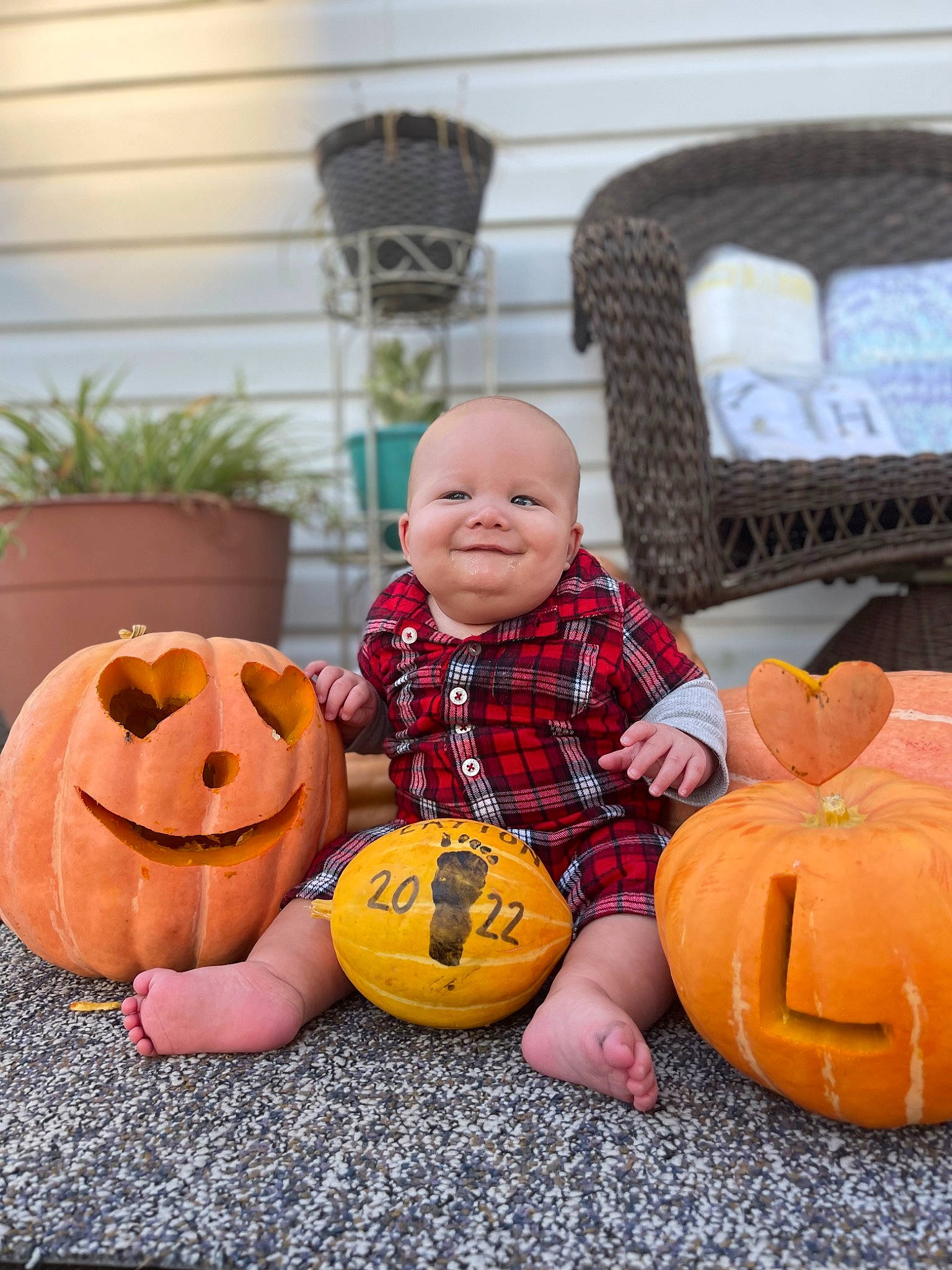 Layton joined the competition — help win amazing prizes! calabaza, clothing, cucurbita, eye, face, gourd, grass, happy, head, houseplant, human_body, joy, orange, organ, person, photograph, plant, pumpkin, smile, squash
