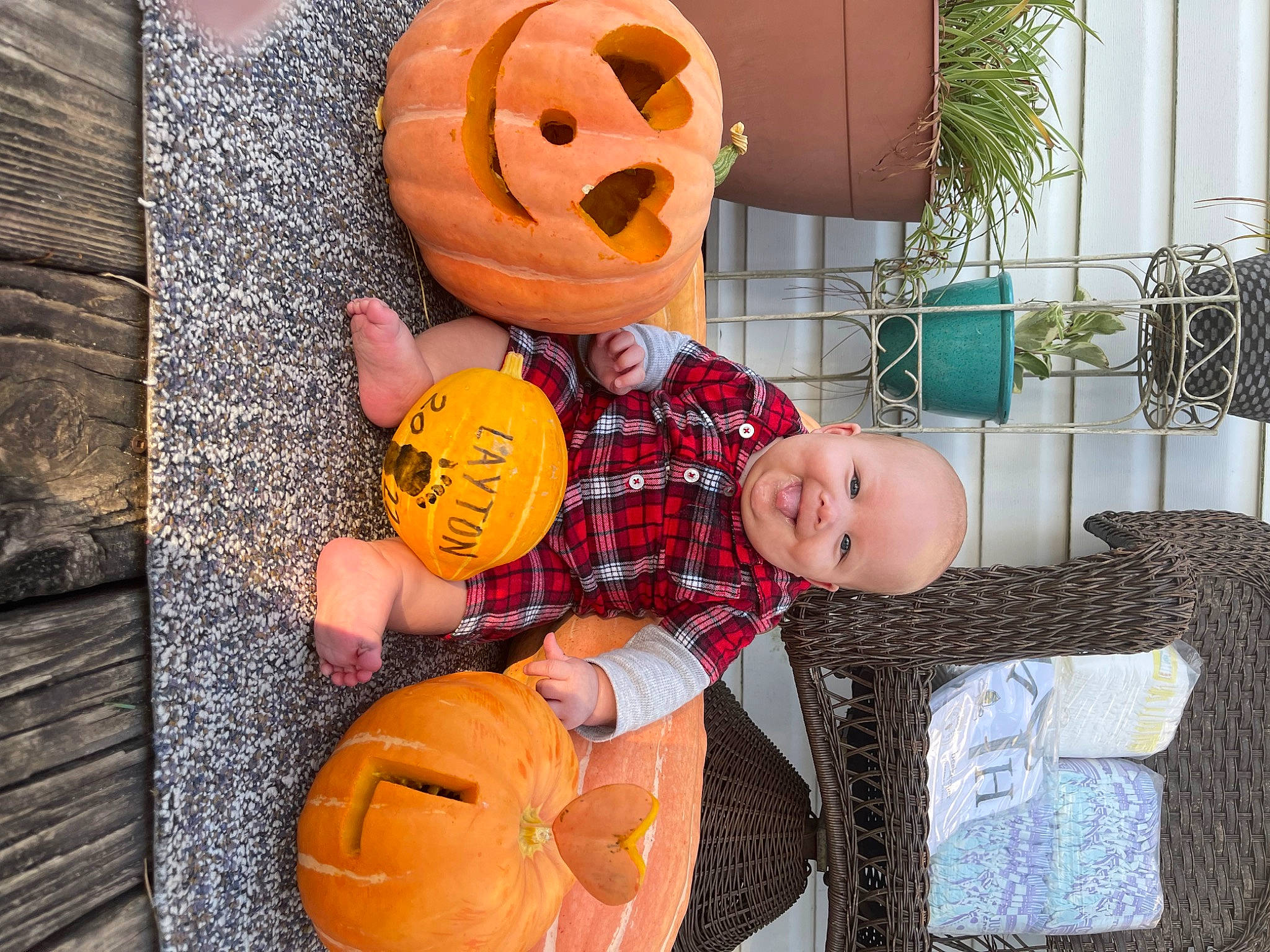Layton is registered to the contest to win money with this photo: ball, calabaza, child, cucurbita, eye, face, gourd, happy, head, houseplant, jack_o_lantern, joy, orange, person, plant, pumpkin, squash, toddler, trick_or_treat, vegetable