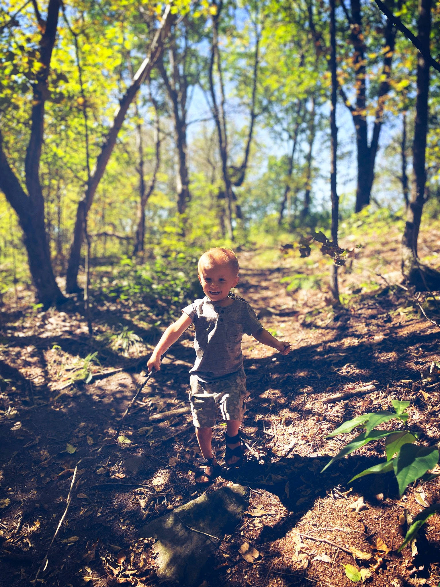 Cornelia joined the competition — help win amazing prizes! branch, deciduous, forest, grass, happy, joy, landscape, natural_landscape, people_in_nature, person, plant, recreation, temperate_broadleaf_and_mixed_forest, terrestrial_plant, tints_and_shades, toddler, trail, tree, trunk, twig