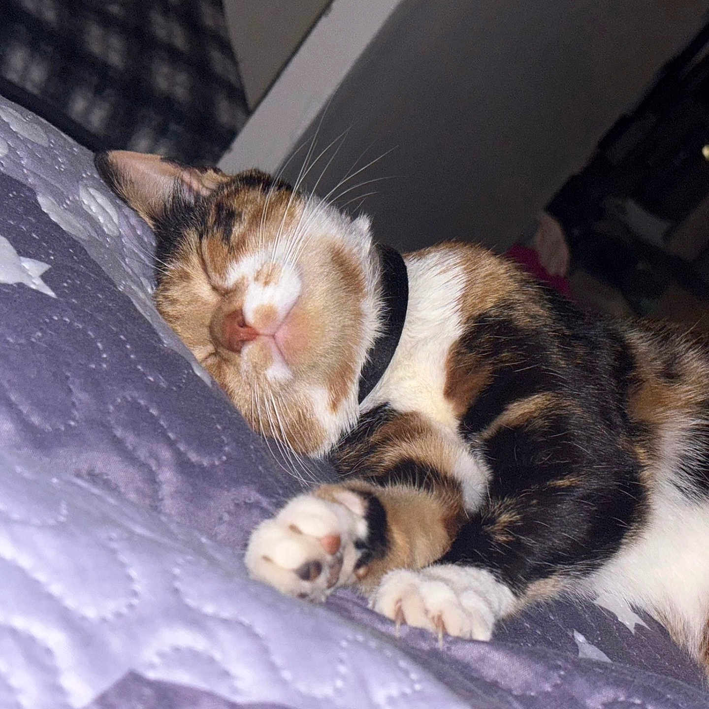 Delilah Matilda Mae