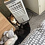 Delilah Matilda Mae is registered to the contest to win money with this photo: air_cooler, animal, black_cat, calico_cat, carpet, cat, collar, cord, corner, cozy, door, floor, furniture, home, indoor, pet, pillow, plush_toy, relaxing, wall