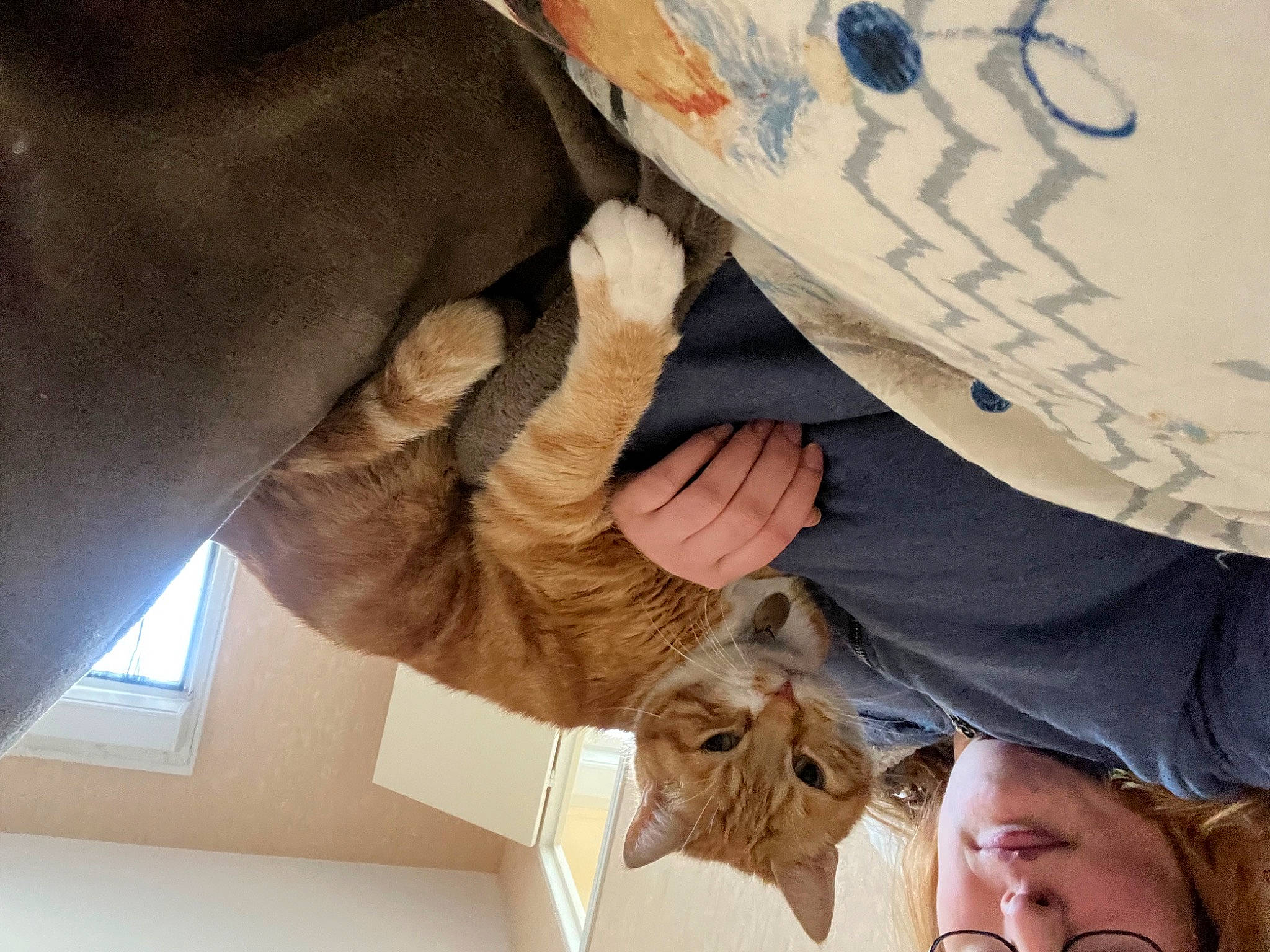 Louki a rejoint le concours — aidez-le/la à gagner de superbes lots ! art, cap, eyewear, fashion_accessory, fawn, fun, fur, gesture, hat, headgear, helmet, human, mammal, organ, sun_hat, sunglasses, tree, wood, wrinkle