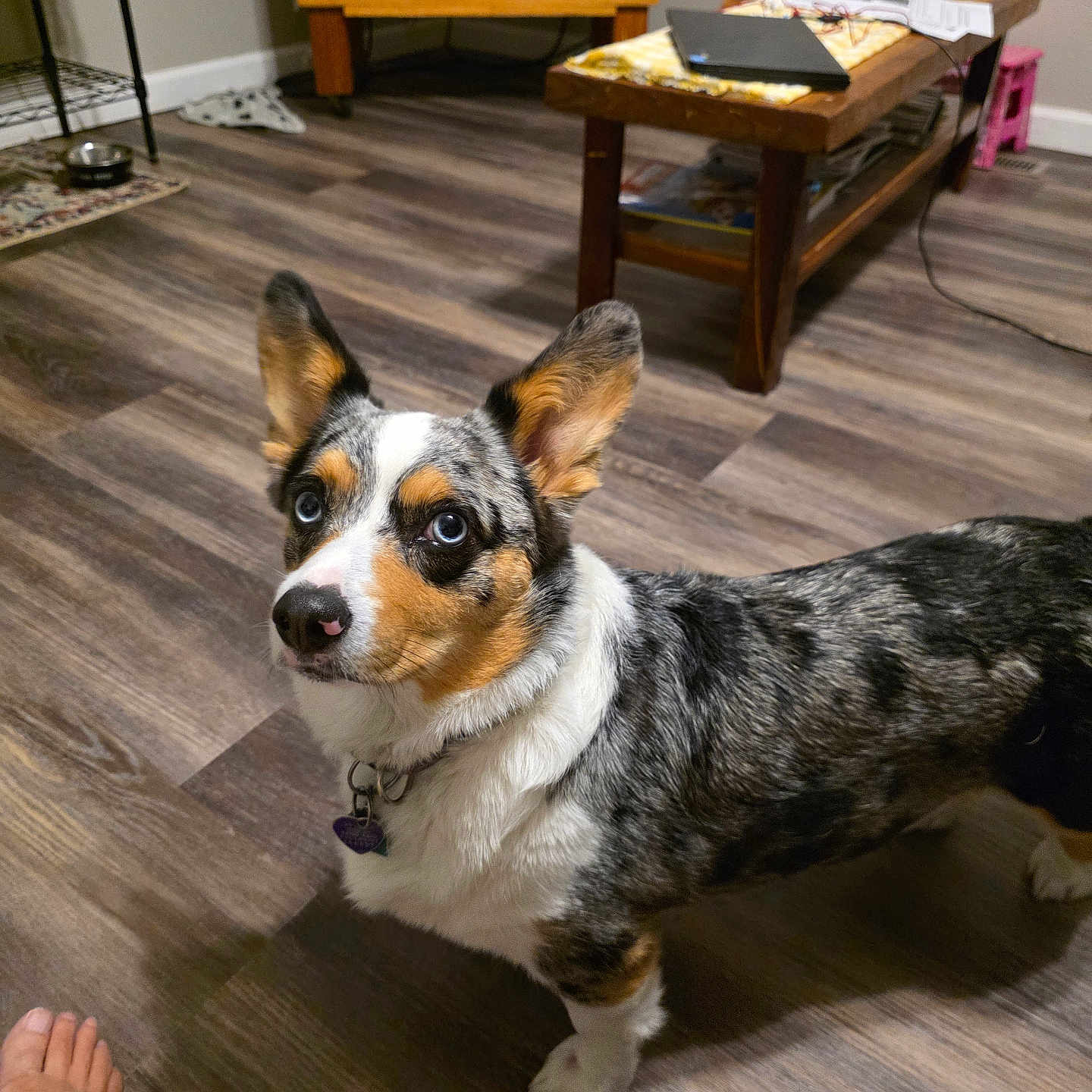 Skye