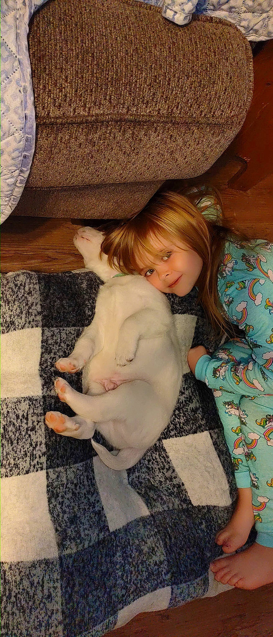 Kyleigh joined the competition — help win amazing prizes! art, blond, brown_hair, child, comfort, companion_dog, fawn, felidae, fur, hat, interaction, iris, lap, long_hair, person, sitting, skin, sun_hat, textile, toddler