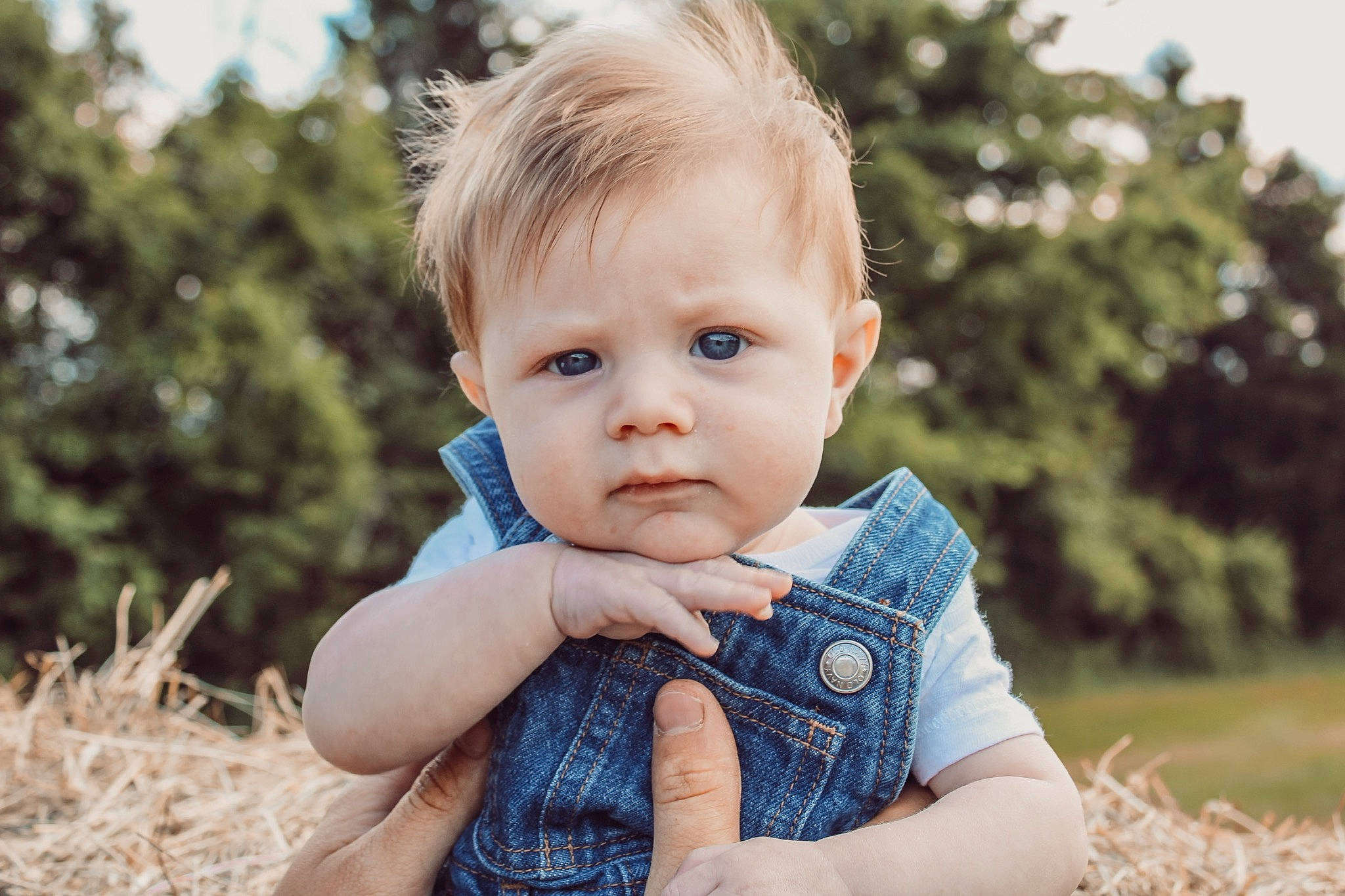 Brooks joined the competition — help win amazing prizes! baby, baby_toddler_clothing, blond, brown_hair, child, electric_blue, eye, finger, fun, grass, grass_family, grassland, happy, people_in_nature, person, plant, sitting, skin, toddler, tree