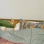Garry a rejoint le concours — aidez-le/la à gagner de superbes lots ! cat, orange_cat, sleeping, cushion, pillow, blanket, bed, indoor, cozy, rest, furniture, patchwork, patterned, comfort, domestic, relaxation, home, soft, quiet, nap