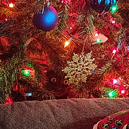Ace is registered to the contest to win money with this photo: cat, christmas_tree, ornament, christmas_lights, black_cat, holiday, indoor, game_controller, decorations, festive, pine_branches, glitter, snowflake_ornament, colorful_lights, couch, cozy, peeking, eyes, holiday_season, celebration