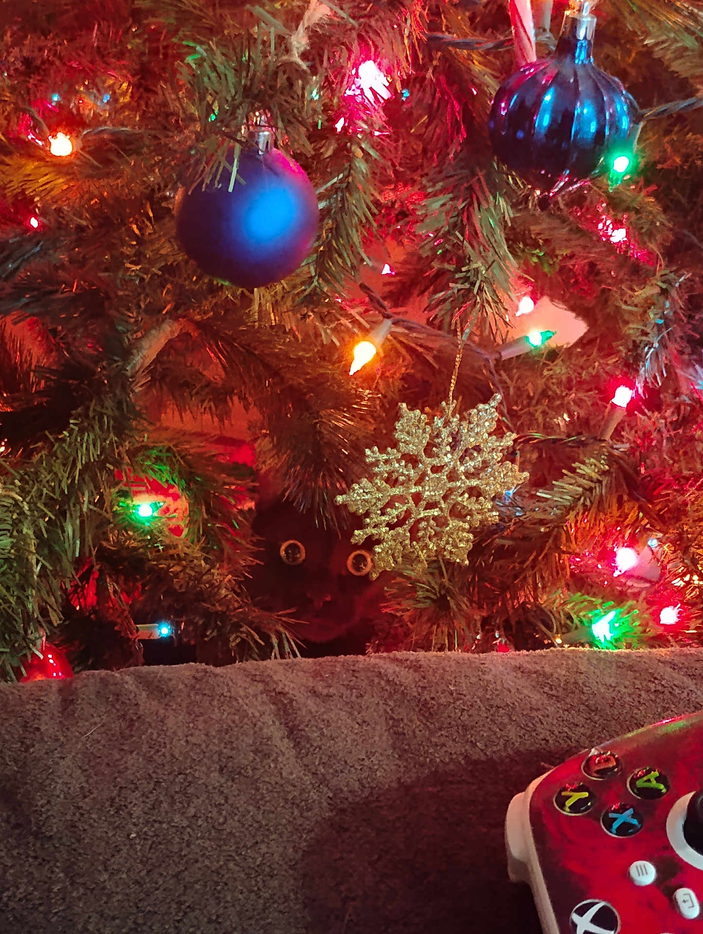 Ace is registered to the contest to win money with this photo: cat, christmas_tree, ornament, christmas_lights, black_cat, holiday, indoor, game_controller, decorations, festive, pine_branches, glitter, snowflake_ornament, colorful_lights, couch, cozy, peeking, eyes, holiday_season, celebration