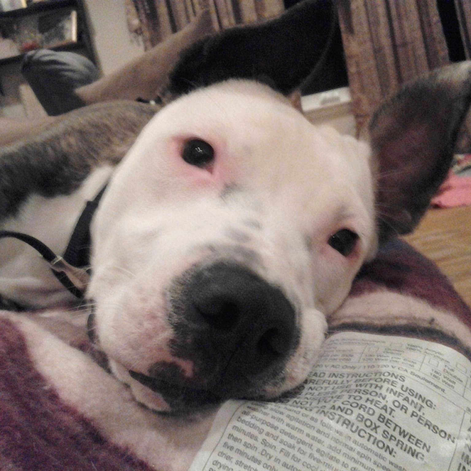 Tequila Wood is registered to the contest to win money with this photo: