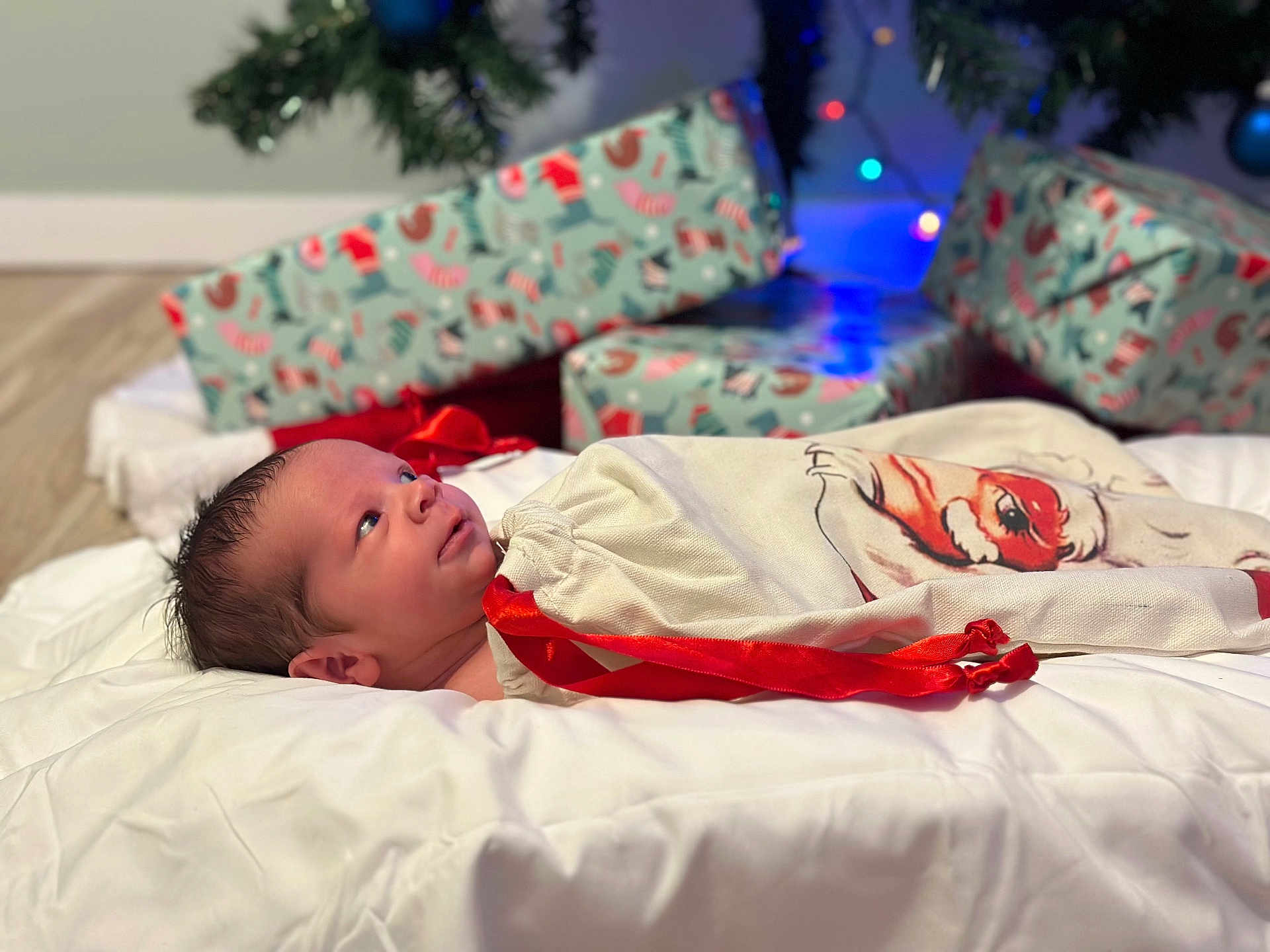 Blaise is registered to the contest to win money with this photo: newborn, baby, infant, wrapped, sack, red_ribbon, christmas_presents, holiday_lights, floor, blanket, indoor, festive, gaze, cute, portrait, sleeping_bag, decorations, warm, cozy, celebration