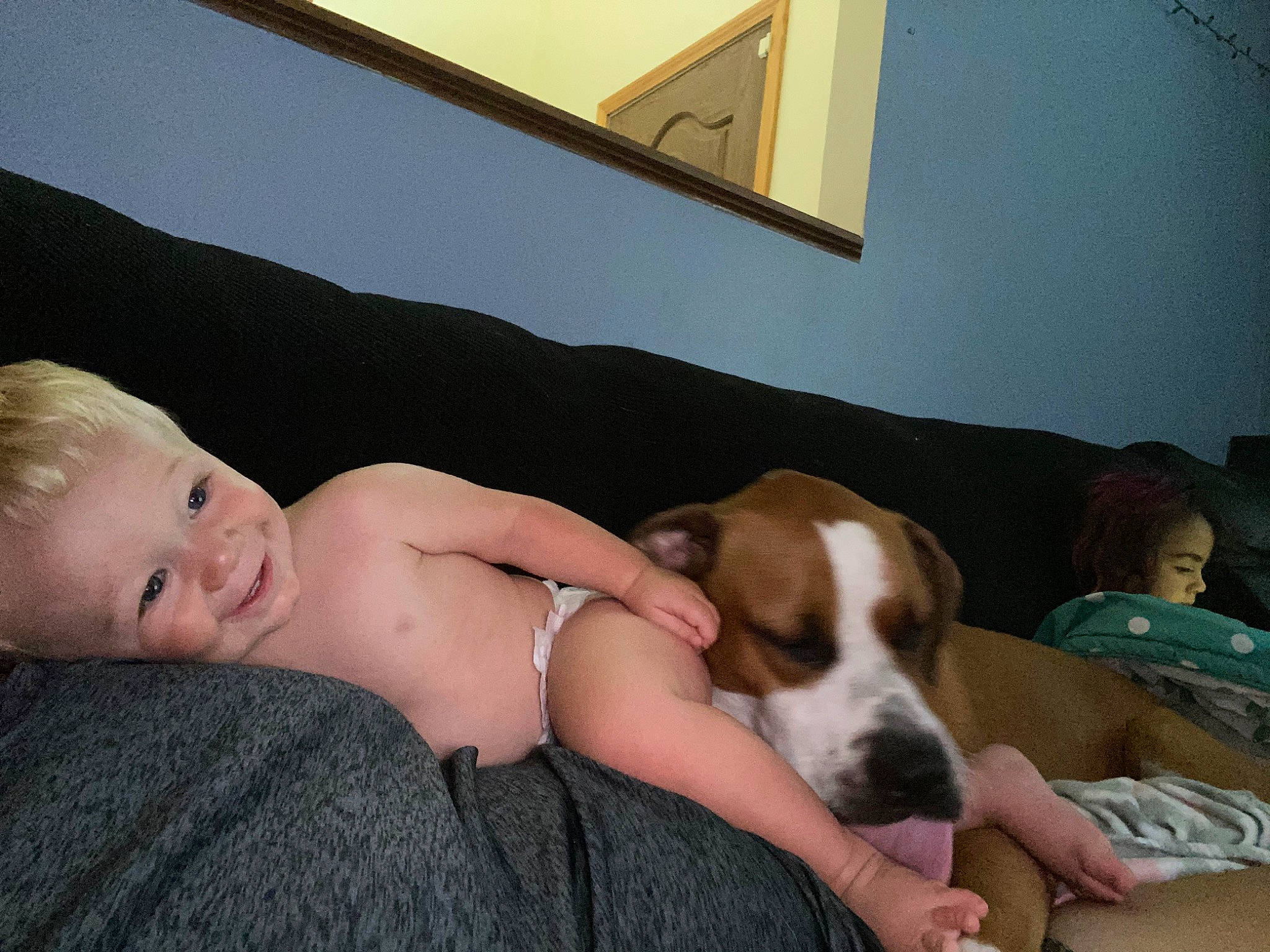 Brysen is registered to the contest to win money with this photo: american_bulldog, american_staffordshire_terrier, canidae, carnivore, dog, dog_breed, ear, fawn, joy, mammal, nap, non_sporting_group, person, puppy_love, sporting_group, valley_bulldog
