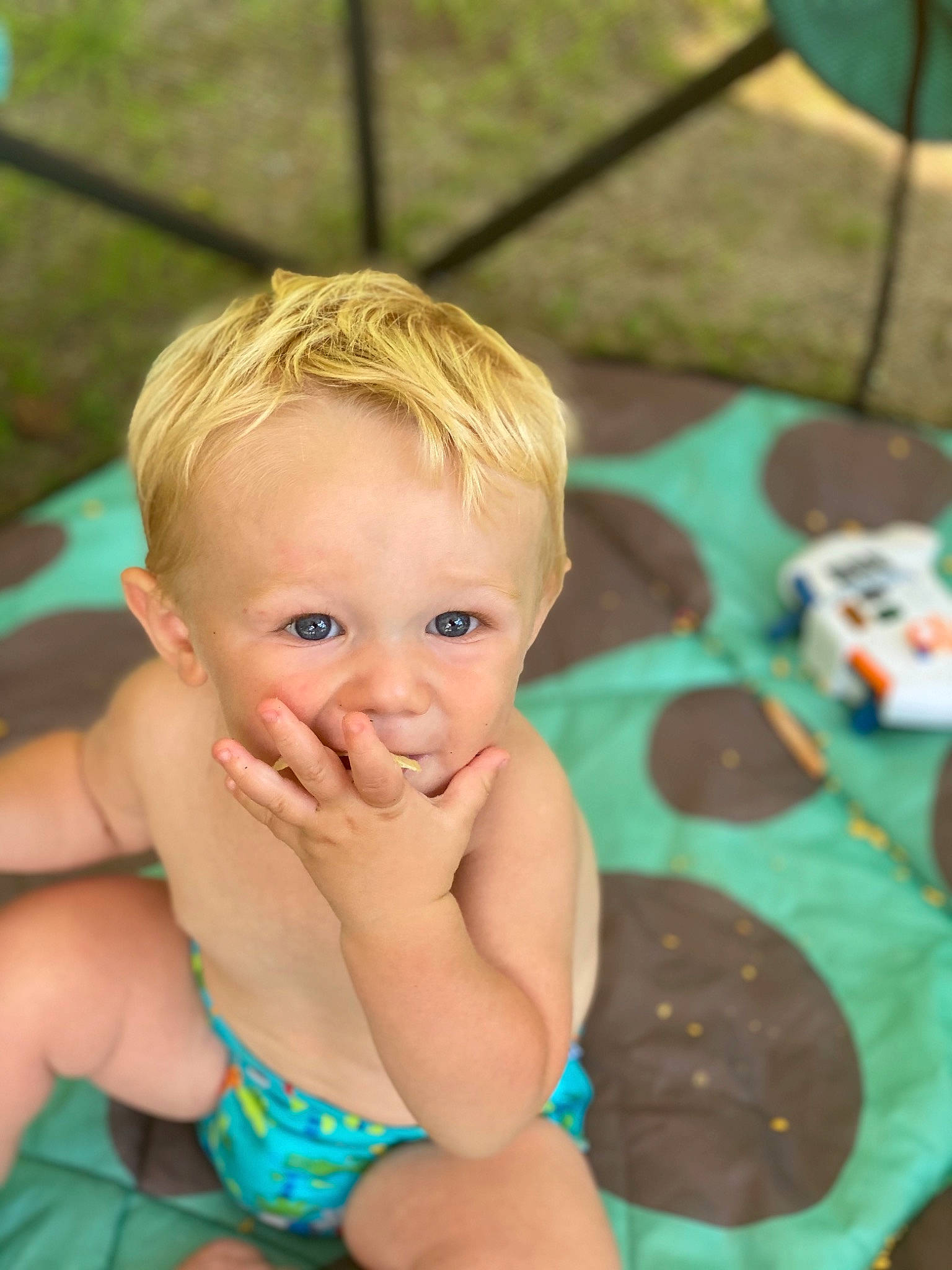 Brysen joined the competition — help win amazing prizes! baby, blond, child, eye, face, fun, grass, iris, leisure, person, play, product, skin, smile, summer, toddler, vacation