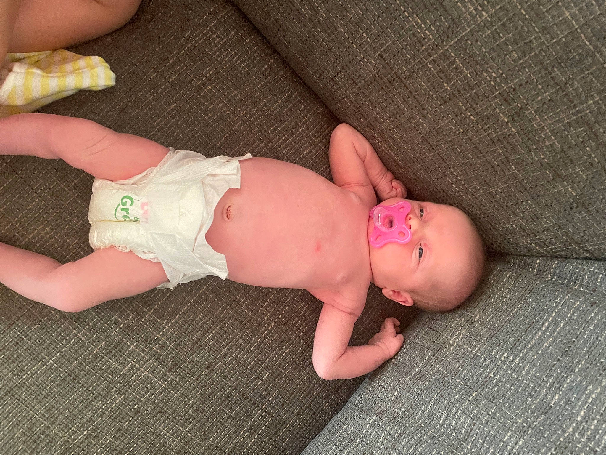 Elsa a rejoint le concours — aidez-le/la à gagner de superbes lots ! baby, baby_toddler_clothing, cheek, child, comfort, diaper, finger, foot, hand, human_body, human_leg, leg, nail, pattern, person, pink, skin, thigh, thumb, toddler