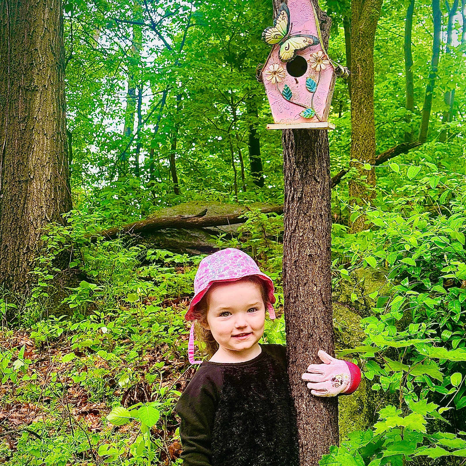 Mia joined the competition — help win amazing prizes! child, clothing, face, female, green, grove, hat, head, jungle, land, leaf, nature, outdoors, person, photography, plant, portrait, tree, vegetation, woodland