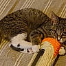 animal, beige_fabric, cat, claws, curious, cute, feline, indoor, kitten, lying_down, pet, playful, scratching_post, striped_background, tabby, toy, whiskers, white_paws, yellow_ball, young_cat