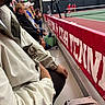 kitten, cat, person, jacket, spectators, tennis_court, sports, indoor, seating, red_banner, tennis_net, scoreboard, hat, glasses, court, hand, crowd, bench, animal, spectator