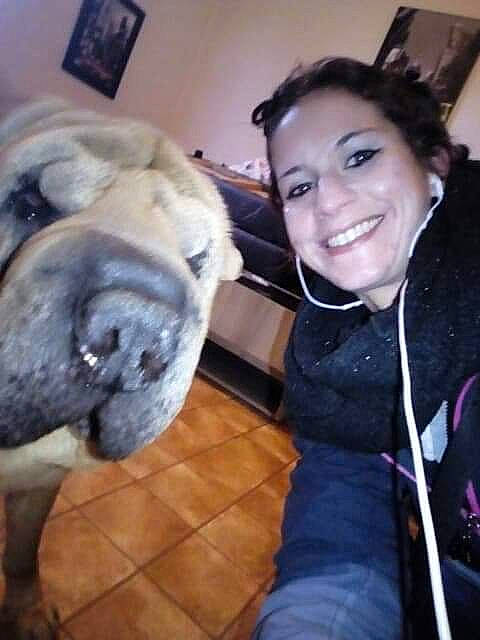 Eliot a rejoint le concours — aidez-le/la à gagner de superbes lots ! bullmastiff, canidae, carnivore, companion_dog, dog, dog_breed, ear, fawn, french_bulldog, non_sporting_group, nose, photography, pug, selfie, shar_pei, skin, smile, snout, wrinkle