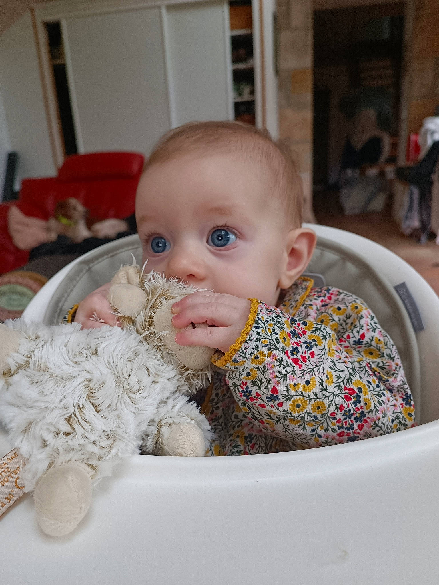 Lise participe au concours pour gagner de l'argent avec cette photo : baby, baby_products, baby_toddler_clothing, bib, chair, cheek, child, comfort, drinkware, event, fun, happy, iris, person, room, sitting, tableware, toddler