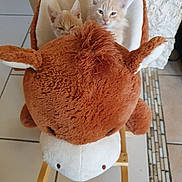 Artiste participe au concours pour gagner de l'argent avec cette photo : kitten, cat, plush_toy, rocking_chair, indoor, floor_tiles, stone_wall, cute, pets, feline, small_animals, fur, ears, whiskers, domestic, animal, resting, cozy, home, curious