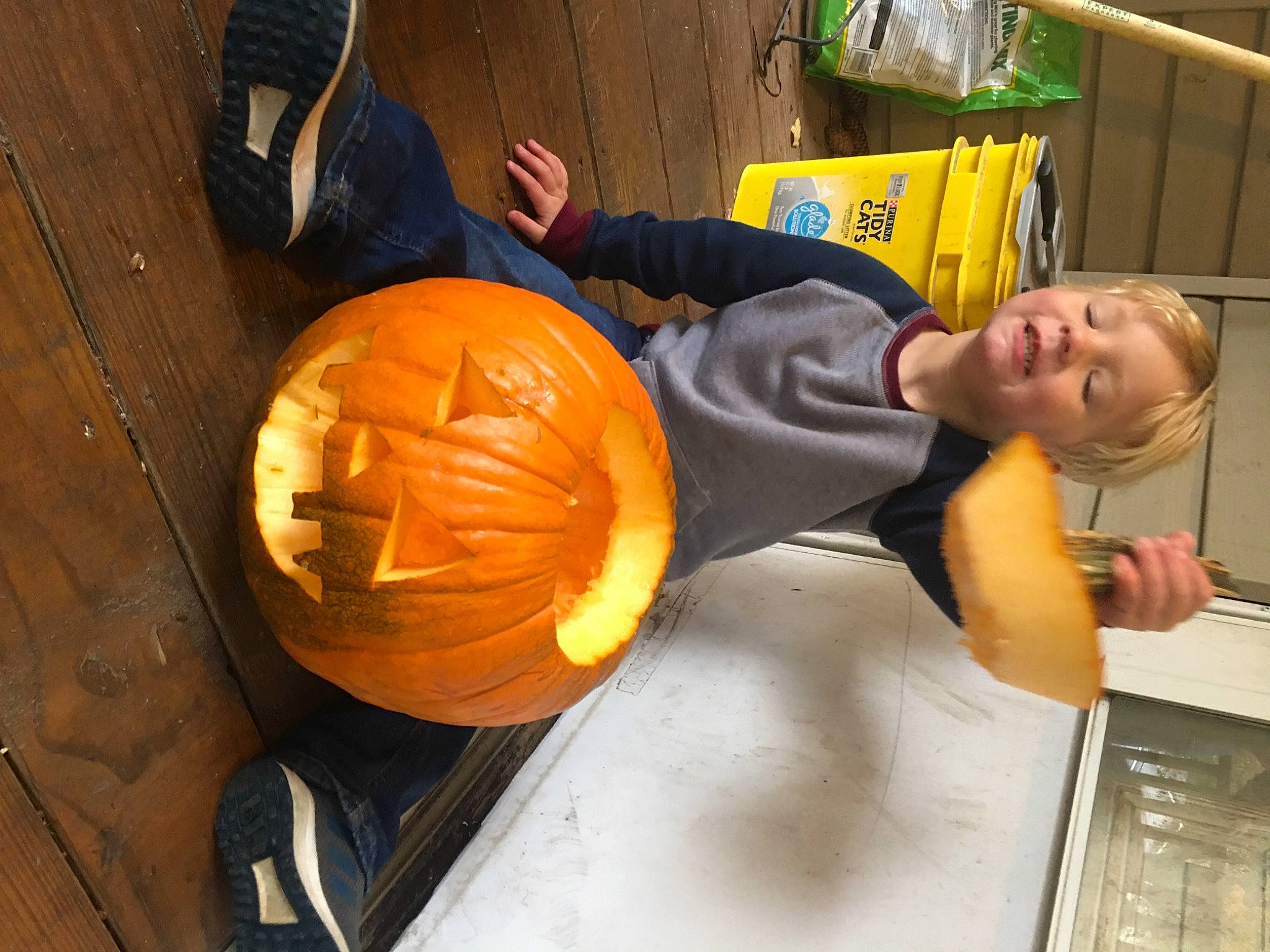 Mason is registered to the contest to win money with this photo: ball, calabaza, cucurbita, fun, gas, gourd, head, helmet, jack_o_lantern, orange, person, plant, pumpkin, smile, squash, t_shirt, toddler, trick_or_treat, vegetable, winter_squash