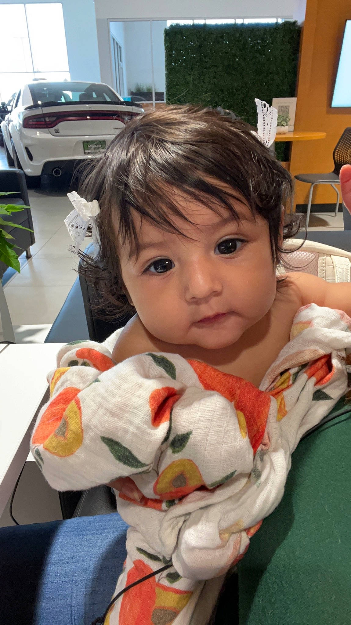 Emilia joined the competition — help win amazing prizes! baby, car, carmine, chair, child, event, fur, houseplant, luxury_vehicle, mammal, person, plant, room, sitting, skin, stuffed_toy, table, toddler, toy, vacation