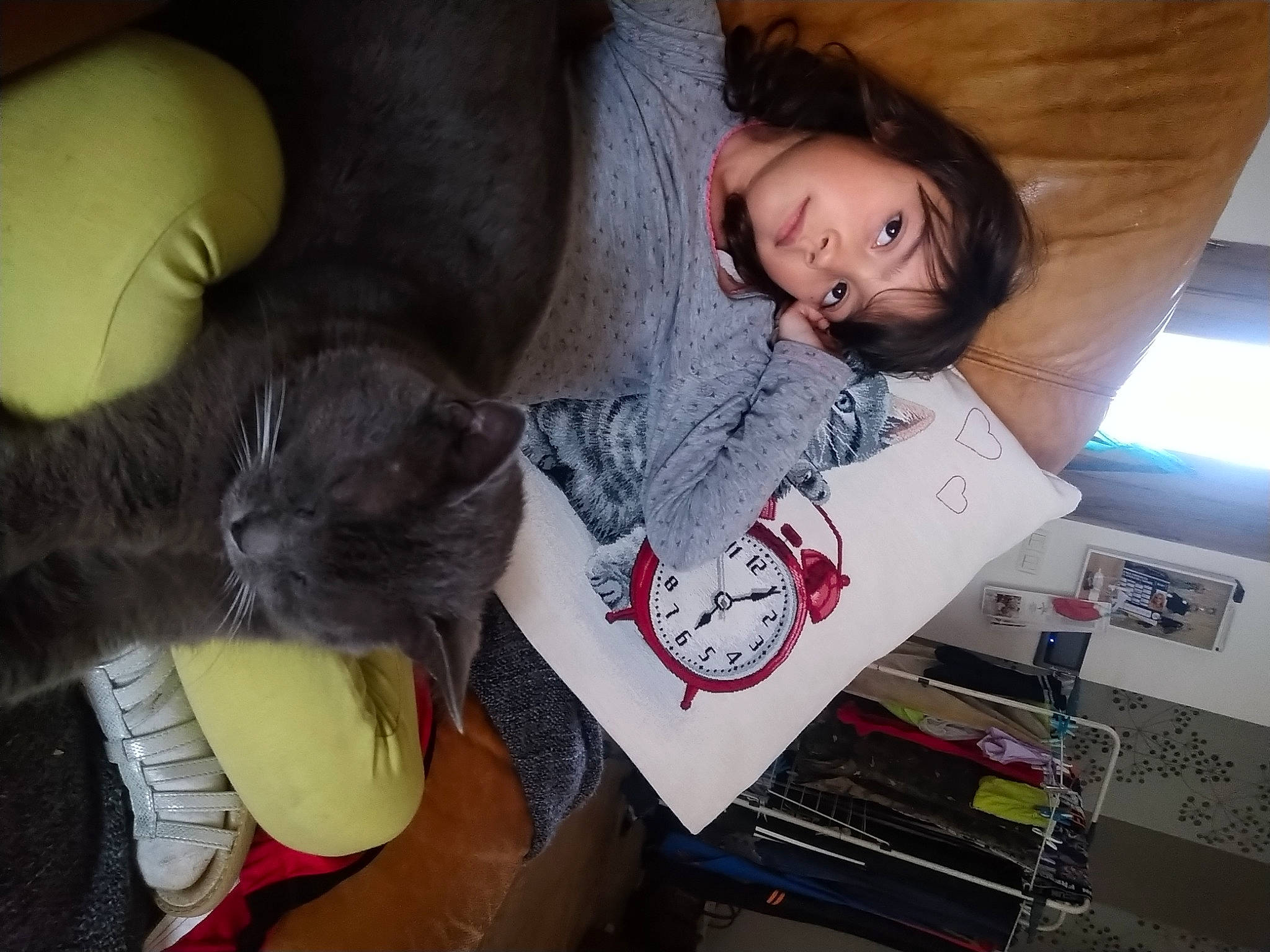 Maelys participe au concours pour gagner de l'argent avec cette photo : carnivore, cat, child, comfort, companion_dog, couch, domestic_short_haired_cat, felidae, flooring, fun, fur, happy, lap, mammal, nail, person, room, sitting, small_to_medium_sized_cats, tail