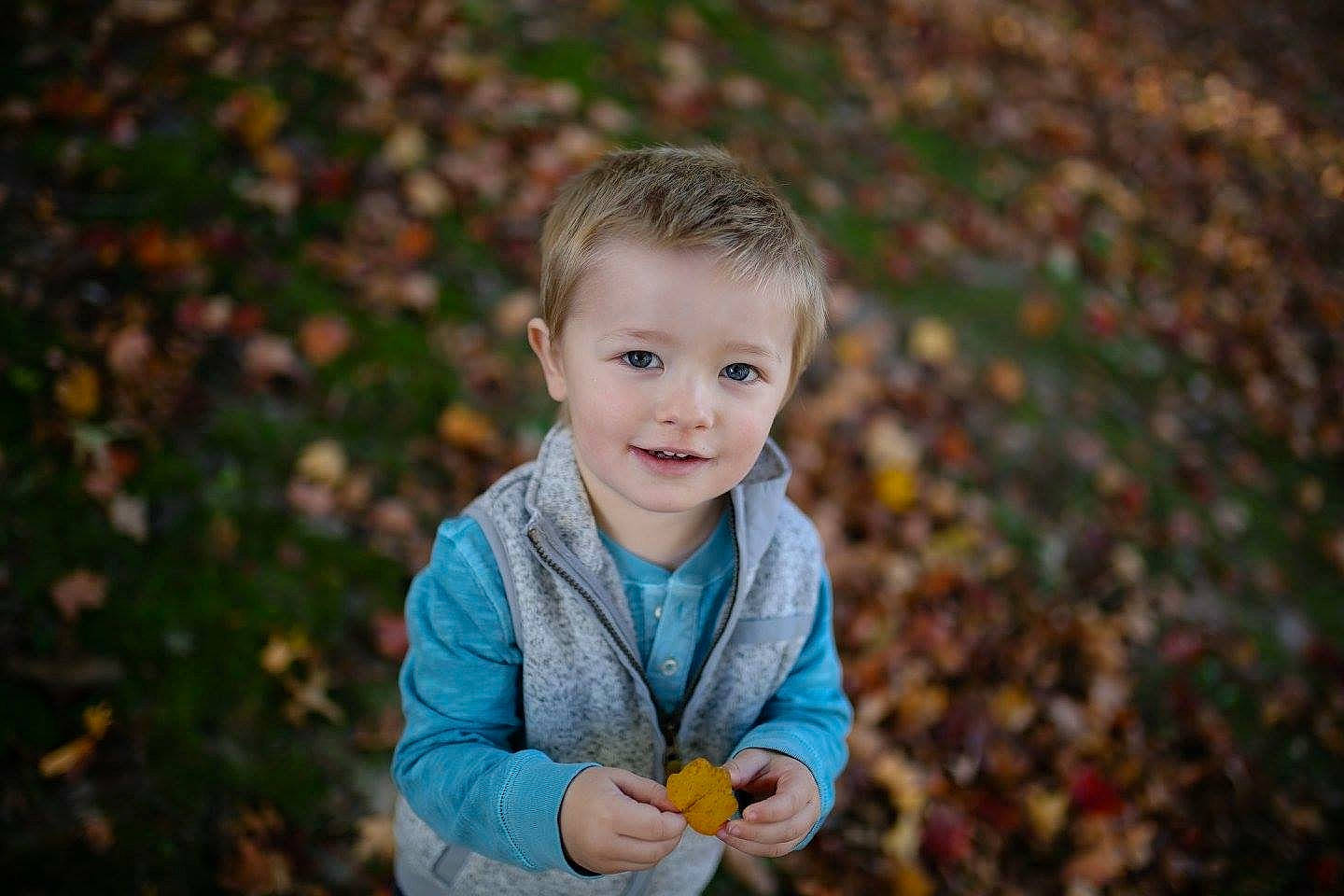Quentin joined the competition — help win amazing prizes! autumn, child, eye, fun, grass, happy, leaf, male, people, people_in_nature, person, photograph, photography, plant, portrait, portrait_photography, sky, smile, standing, toddler