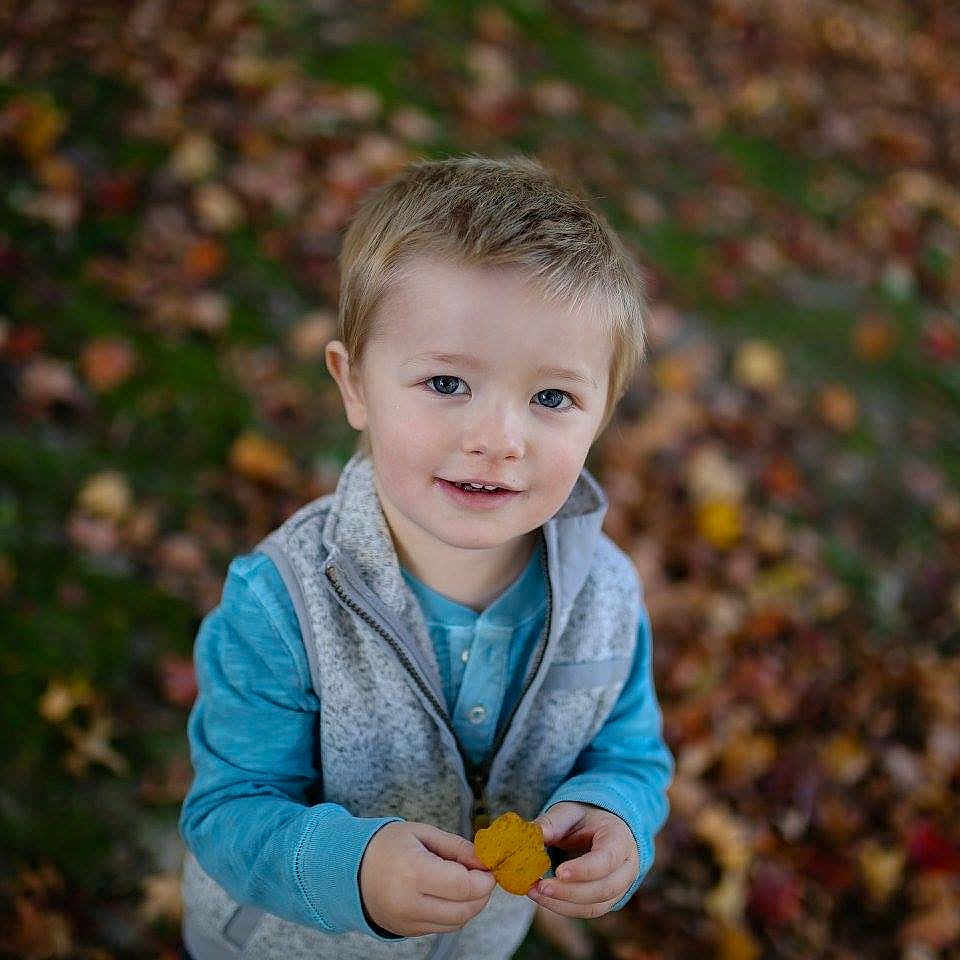 Quentin joined the competition — help win amazing prizes! autumn, child, eye, fun, grass, happy, leaf, male, people, people_in_nature, person, photograph, photography, plant, portrait, portrait_photography, sky, smile, standing, toddler