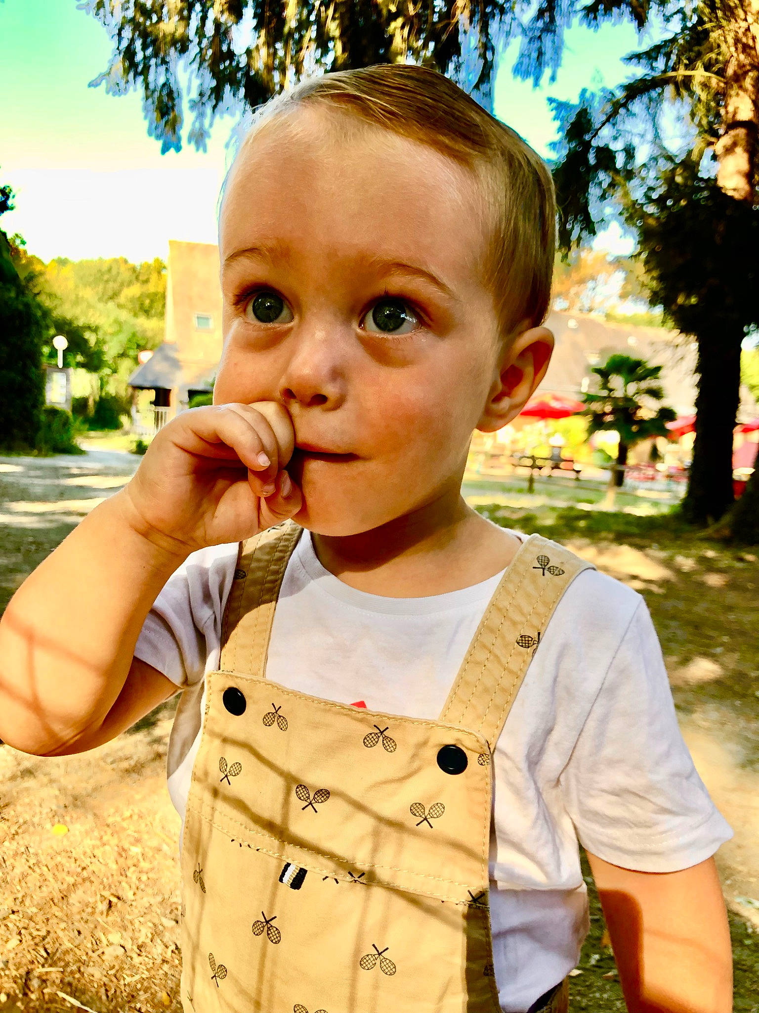 Tilio participe au concours pour gagner de l'argent avec cette photo : beauty, cool, fun, gesture, grass, happy, iris, leisure, lip, neck, nose, people, people_in_nature, person, plant, skin, sleeve, summer, sunlight, toddler