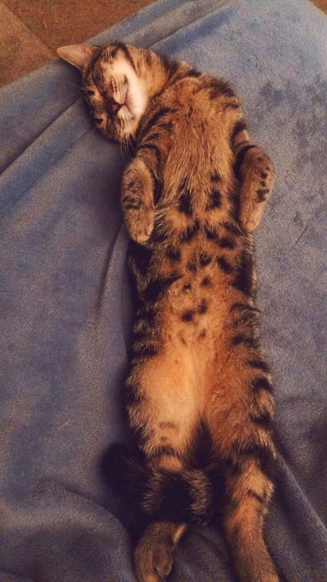 Doja