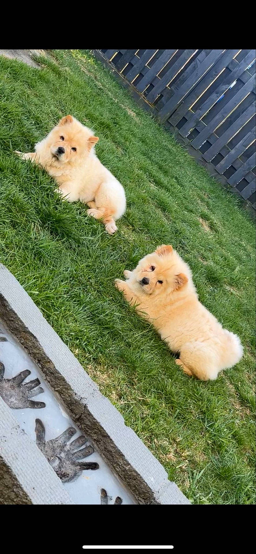 Coco And Winnie