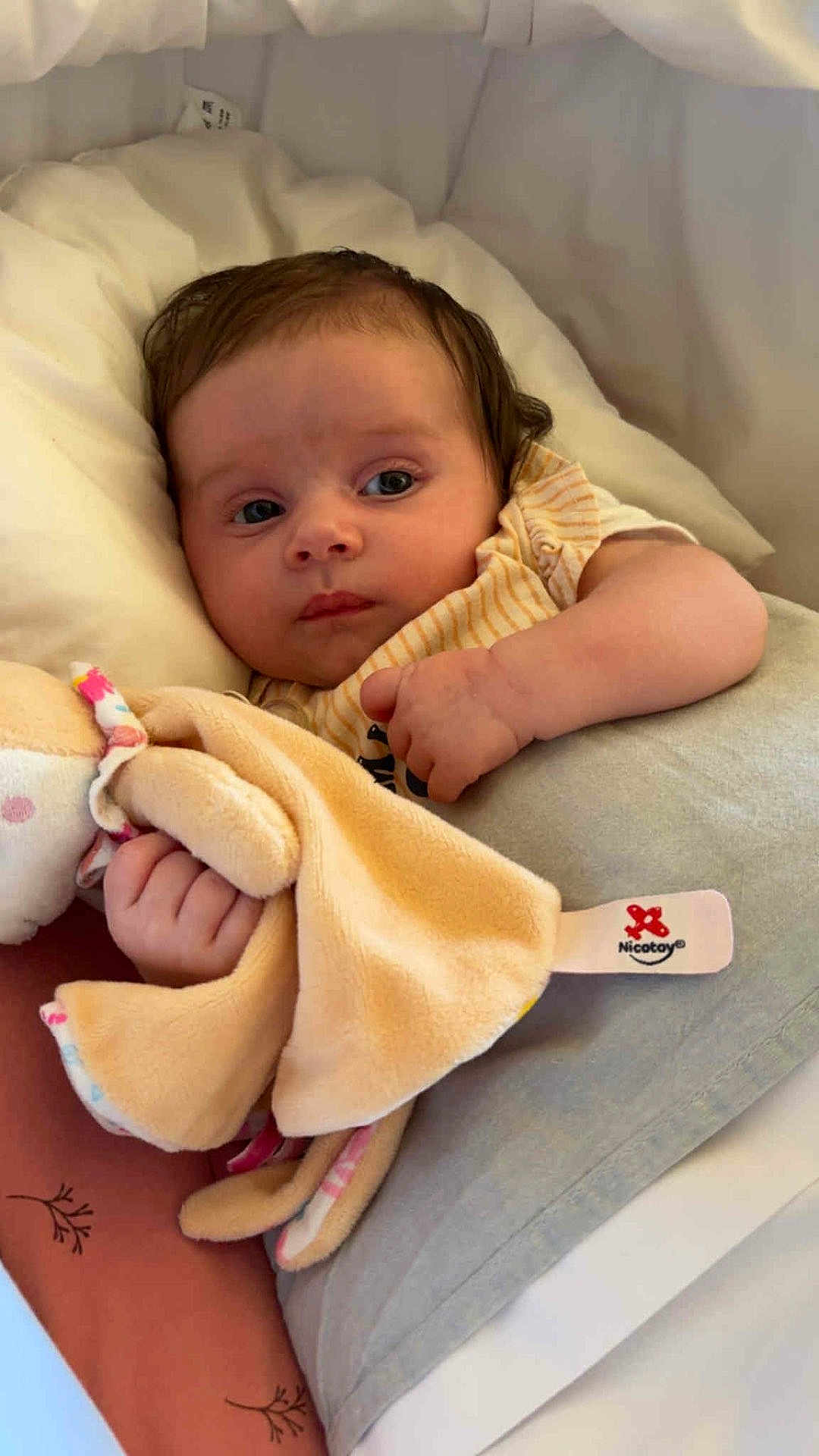 Youhanna participe au concours pour gagner de l'argent avec cette photo : baby, bedding, blanket, child, clothing, comfort, cozy, cute, face, hand, indoor, infant, lying_down, newborn, person, pillow, plush_toy, resting, sleepy, soft_toy
