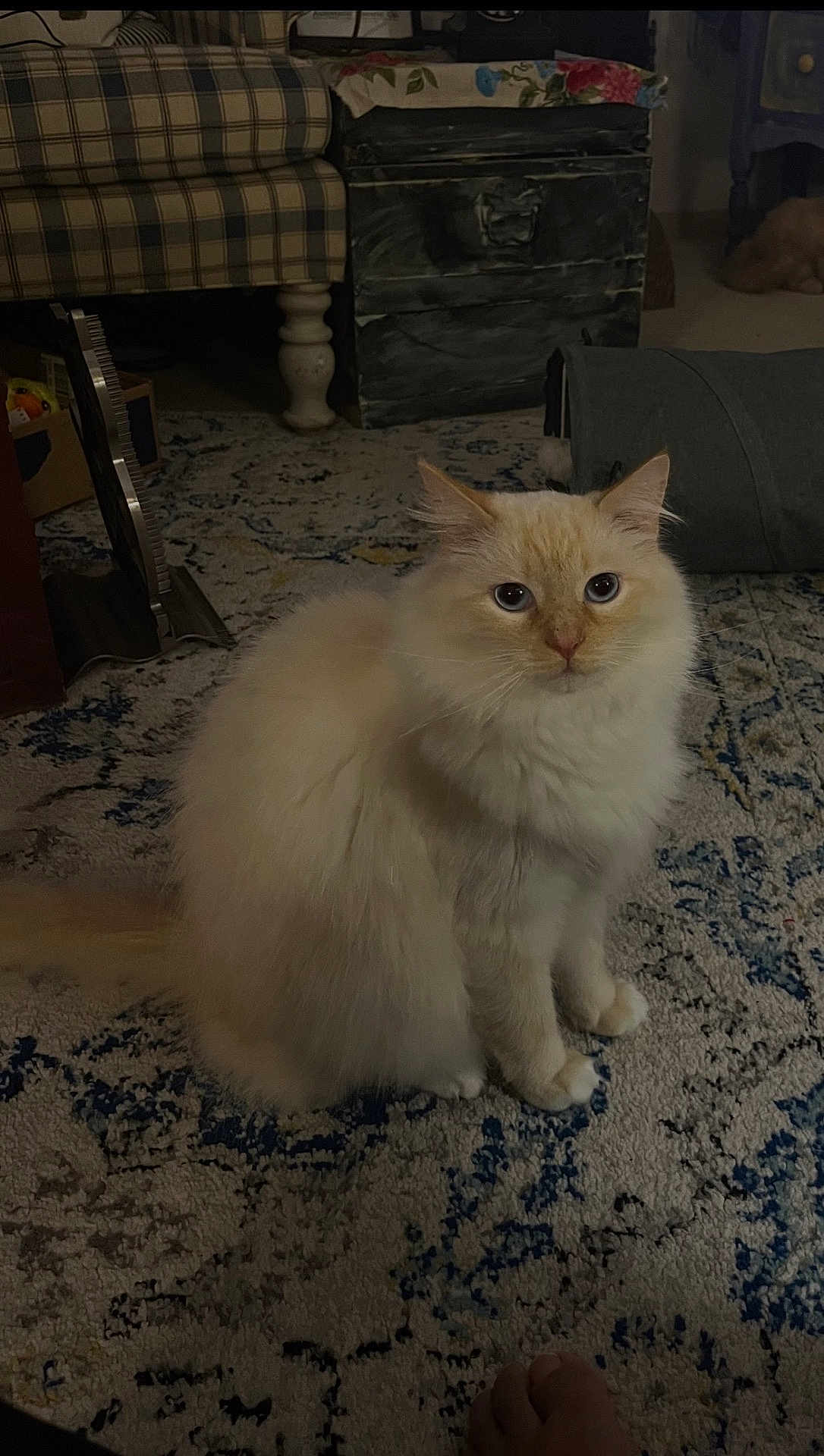 Casper