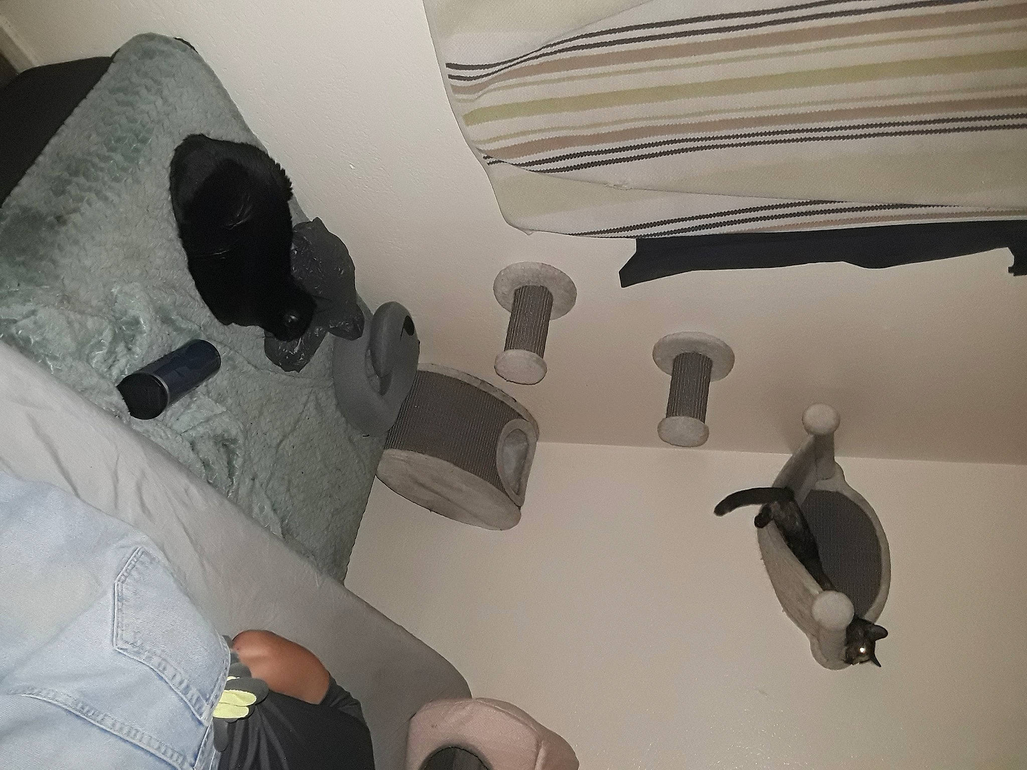 Skunk Luna is registered to the contest to win money with this photo: art, automotive_design, black, ceiling, comfort, eyewear, flooring, gesture, grey, light_fixture, lighting_accessory, monochrome_photography, personal_protective_equipment, plaster, room, shadow, space, tints_and_shades, visual_arts, wall