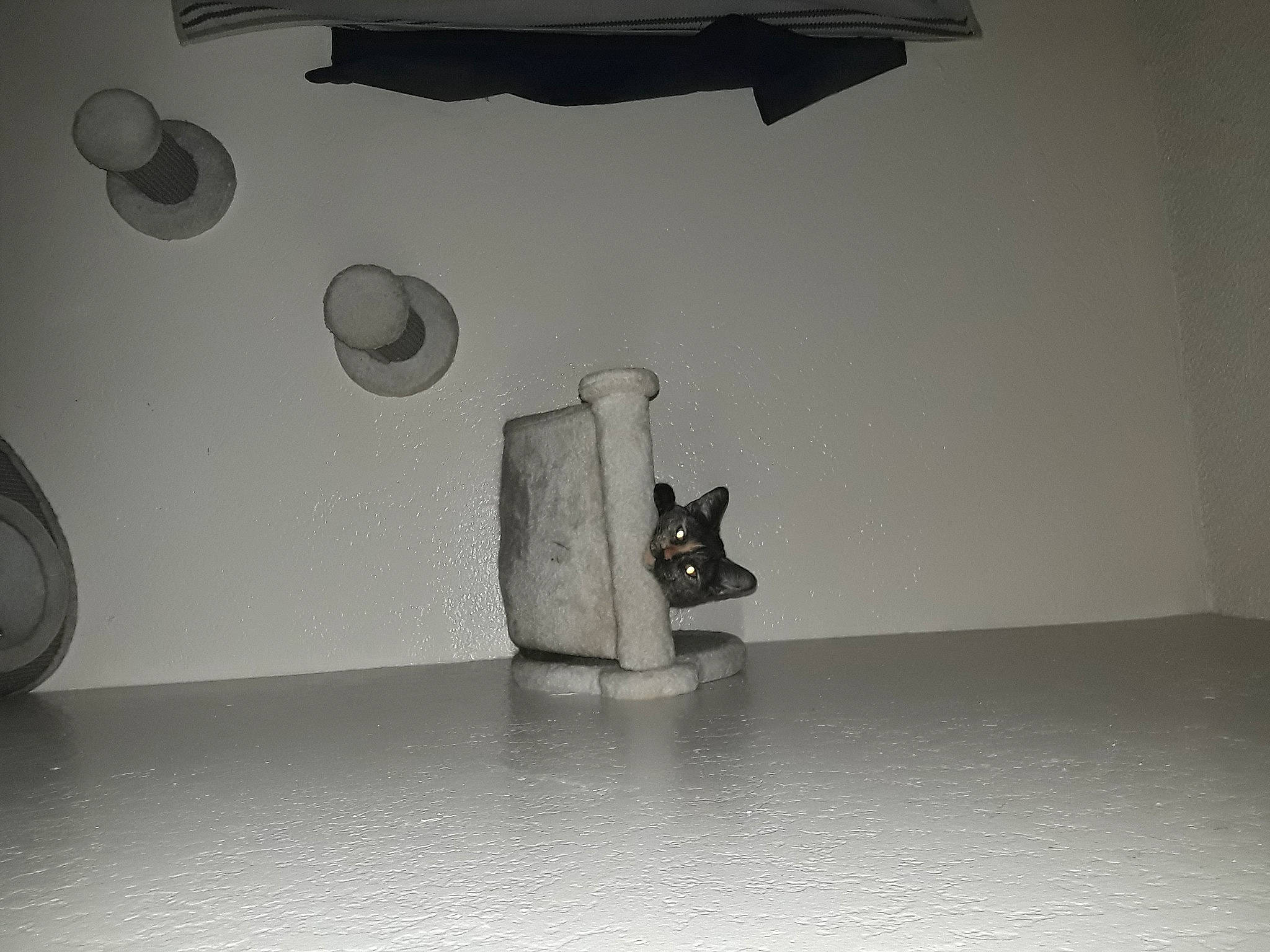 Skunk Luna is registered to the contest to win money with this photo: art, automotive_design, black_and_white, ceiling, circle, darkness, flooring, font, glass, grey, hardwood, monochrome, monochrome_photography, room, sculpture, shadow, still_life_photography, tints_and_shades, visual_arts, wood