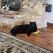 Raven is registered to the contest to win money with this photo: animal, antlers, banana_toy, black_cat, cat, cozy, feline, fireplace, floor, green_eyes, home_interior, indoor, laying_down, patterned_rug, pet, relaxed, rug, stone_wall, toy, wooden_floor