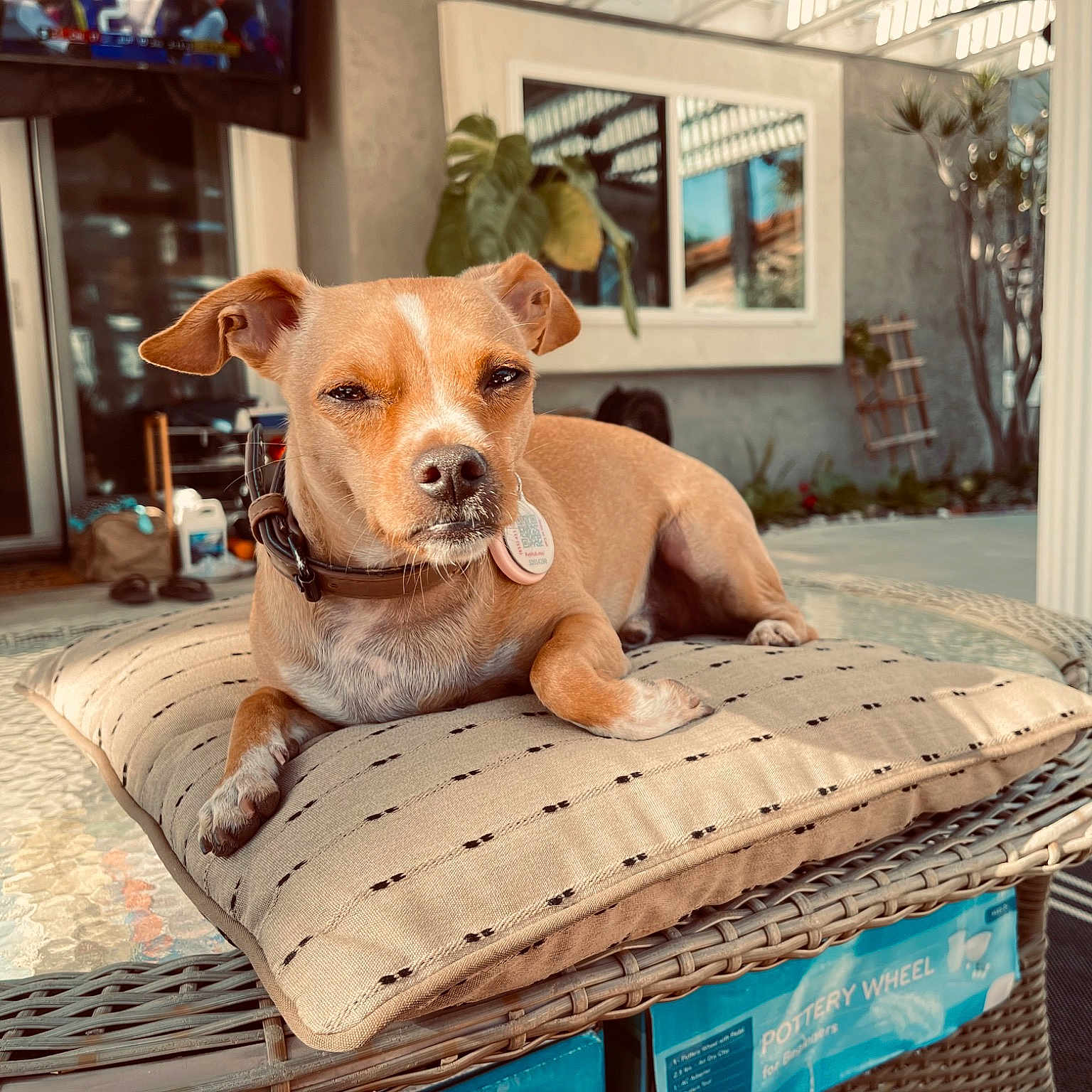 Nugget