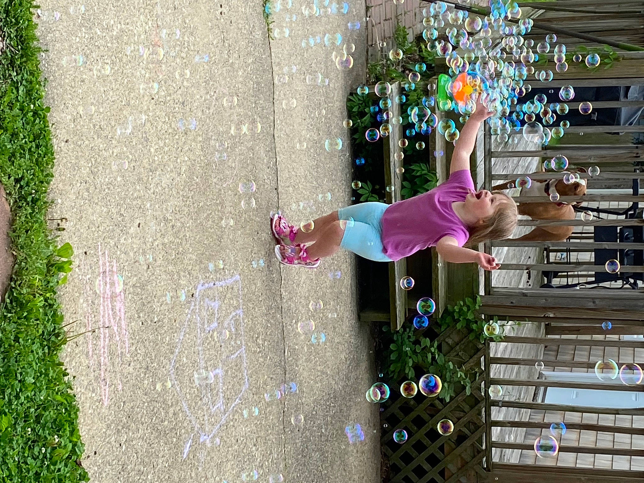 Scarlett joined the competition — help win amazing prizes! architecture, beauty, design, facade, fun, green, human_settlement, leisure, magenta, people_in_nature, person, pink, plant, purple, road_surface, sidewalk, textile, toddler, tree, vertebrate