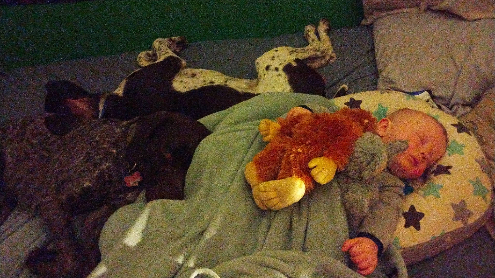 John is registered to the contest to win money with this photo: art, baby_sleeping, bed, bed_sheet, bedding, bedtime, comfort, couch, lap, linens, nap, person, pillow, plush, room, sitting, stuffed_toy, teddy_bear, throw_pillow, toy