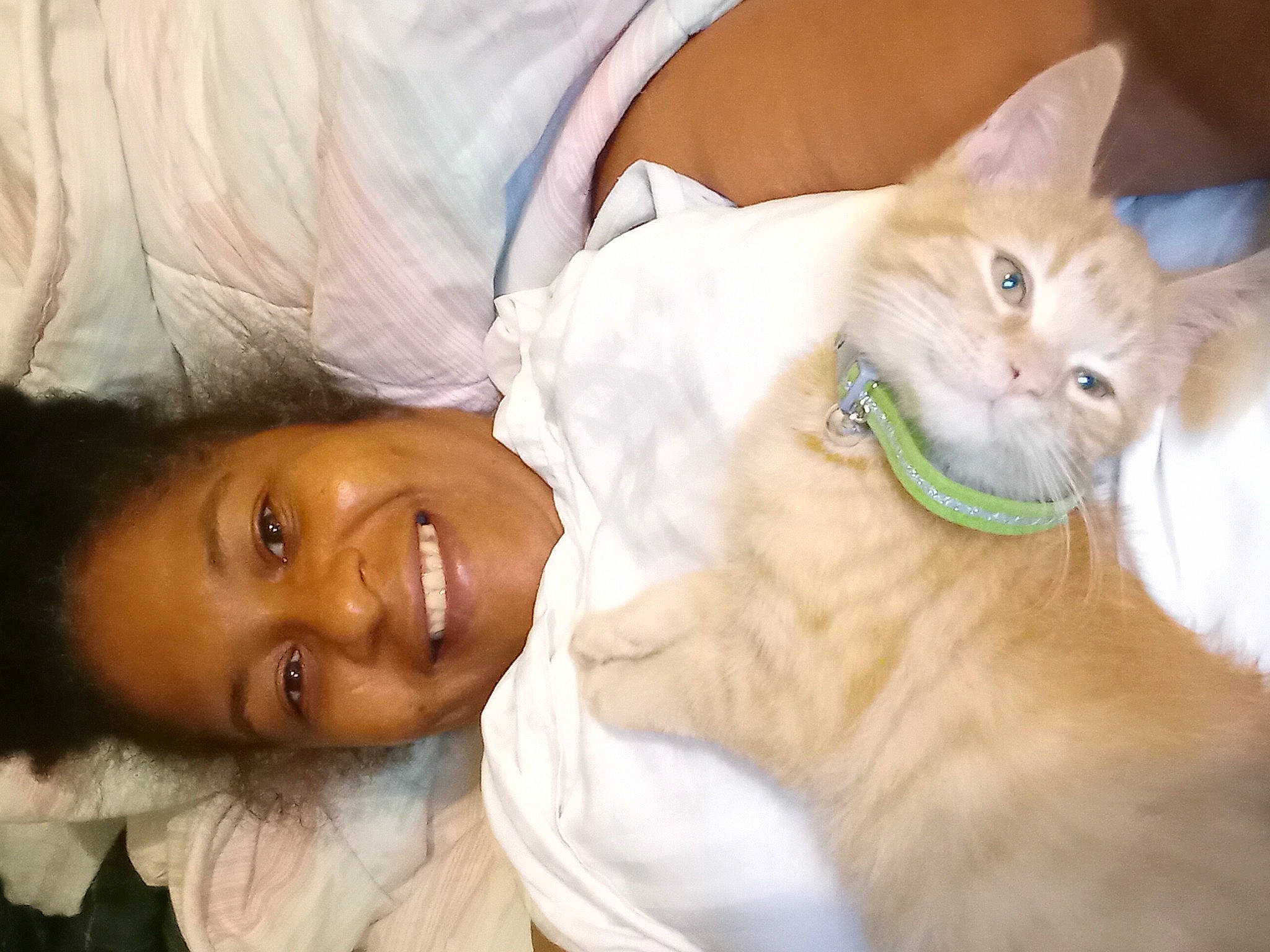 Anya joined the competition — help win amazing prizes! abdomen, carnivore, cat, cheek, comfort, domestic_short_haired_cat, fawn, felidae, fun, fur, gesture, happy, iris, nose, skin, small_to_medium_sized_cats, smile, t_shirt, toddler, whiskers