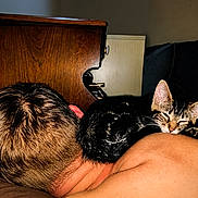 Calypso is registered to the contest to win money with this photo: animal, back, brown_hair, cat, close_up, couch, cozy, furniture, indoor, kitten, nap, person, pet, relaxation, resting, shoulder, skin, sleeping, tabby, wood