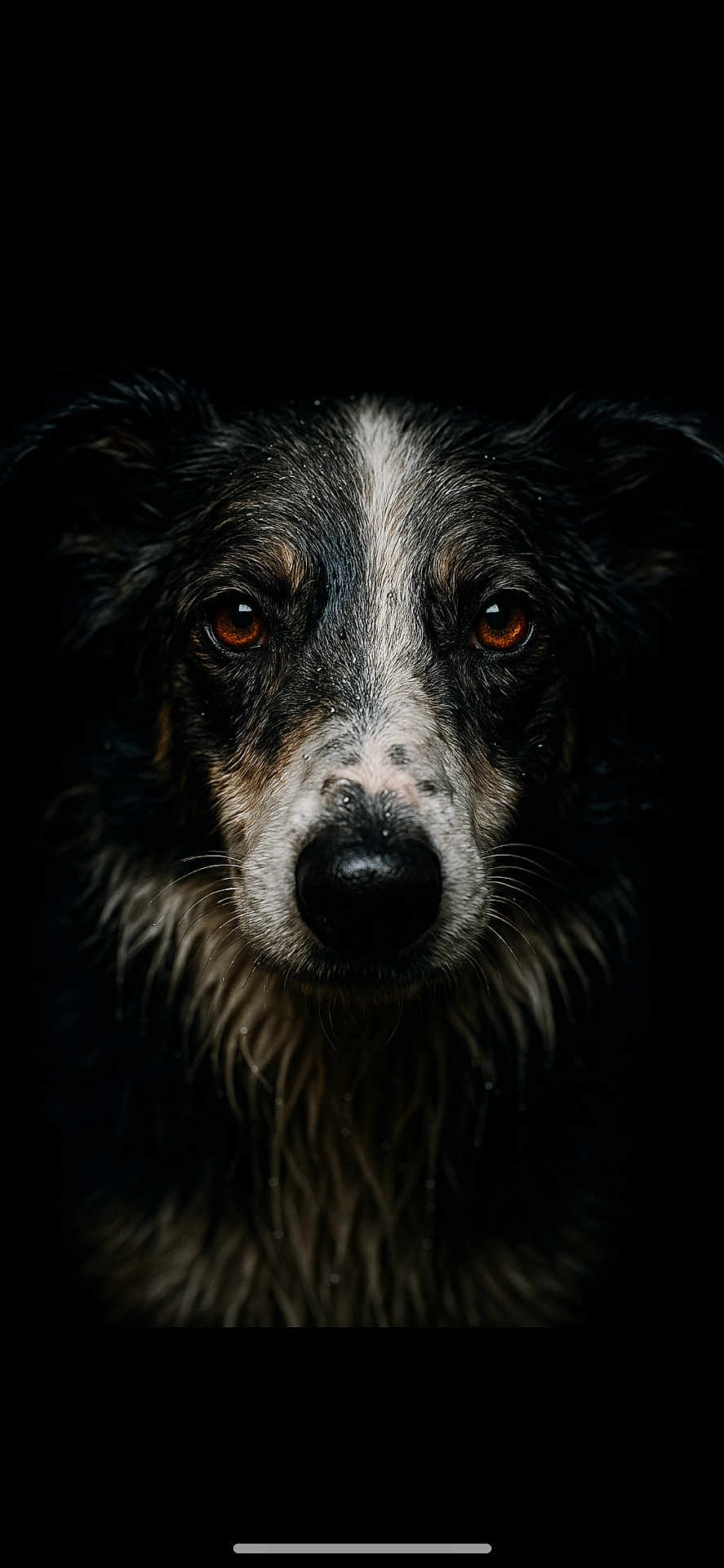 Tika