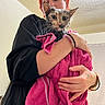 animal, bath, black_clothing, bracelet, cat, ceiling, curly_hair, expression, face, hand, holding, home, indoor, orange_hair, person, pet, pink_towel, towel, wall, wet_cat