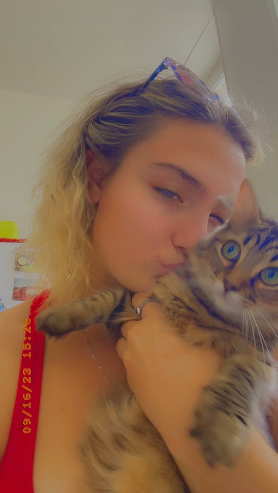 Tinka a rejoint le concours — aidez-le/la à gagner de superbes lots ! carnivore, cat, ear, eye, eyebrow, eyelash, felidae, gesture, hair, human_body, iris, jaw, lip, mouth, neck, nose, shoulder, skin, small_to_medium_sized_cats, whiskers